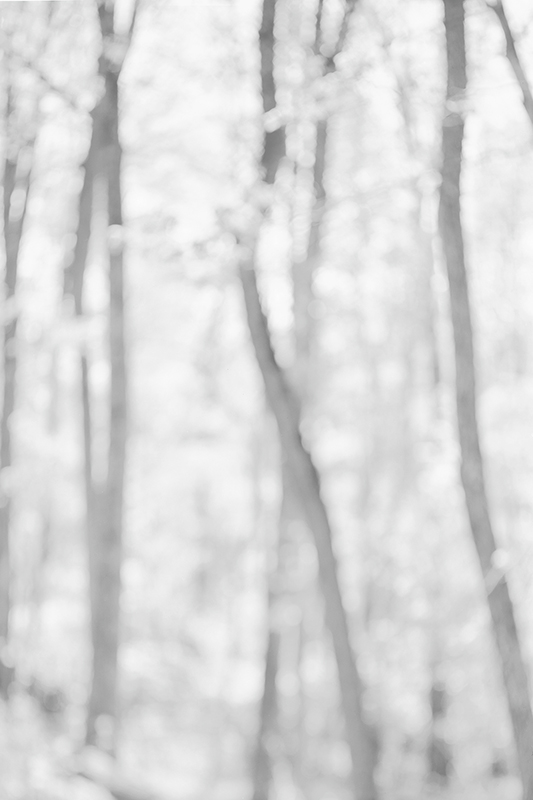 Bill Jacobson - Song of Myself #1001