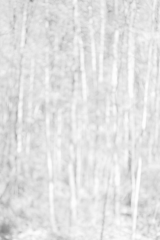 Bill Jacobson - Song of Myself #1005