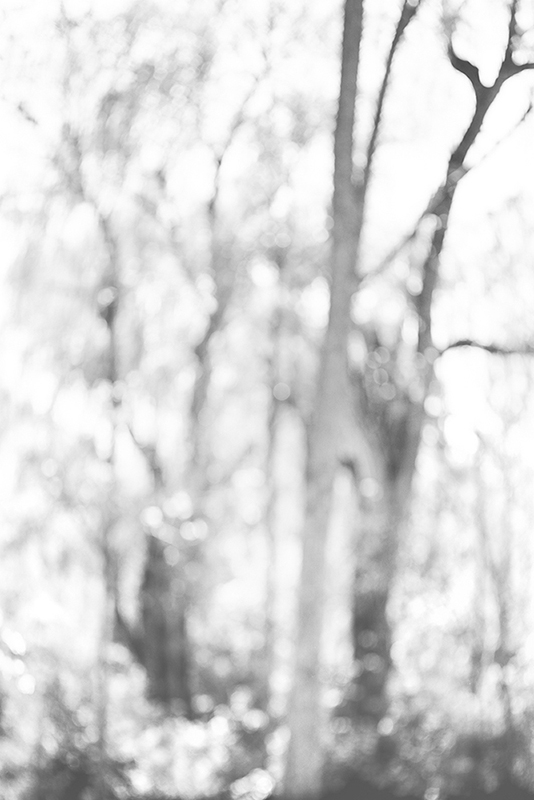 Bill Jacobson - Song of Myself #1008