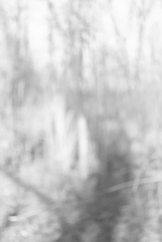 Bill Jacobson - Song of Myself #107