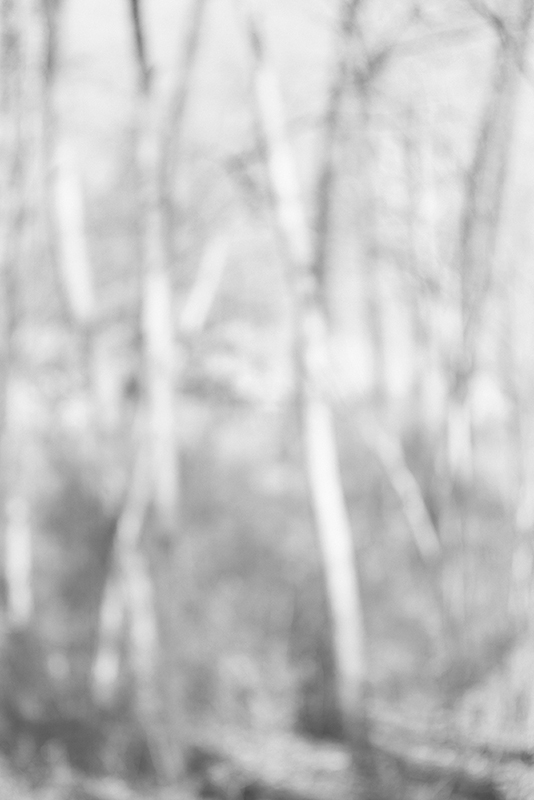 Bill Jacobson - Song of Myself #110