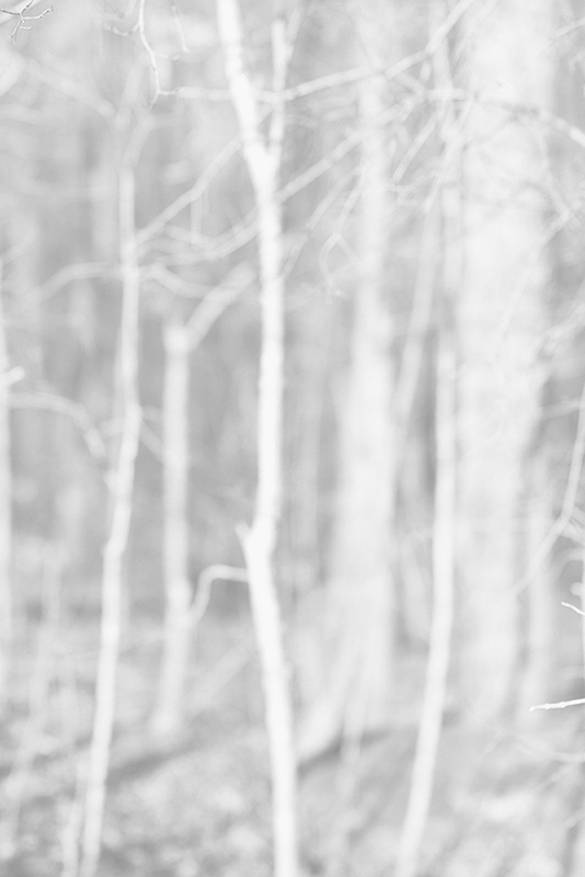 Bill Jacobson - Song of Myself #217