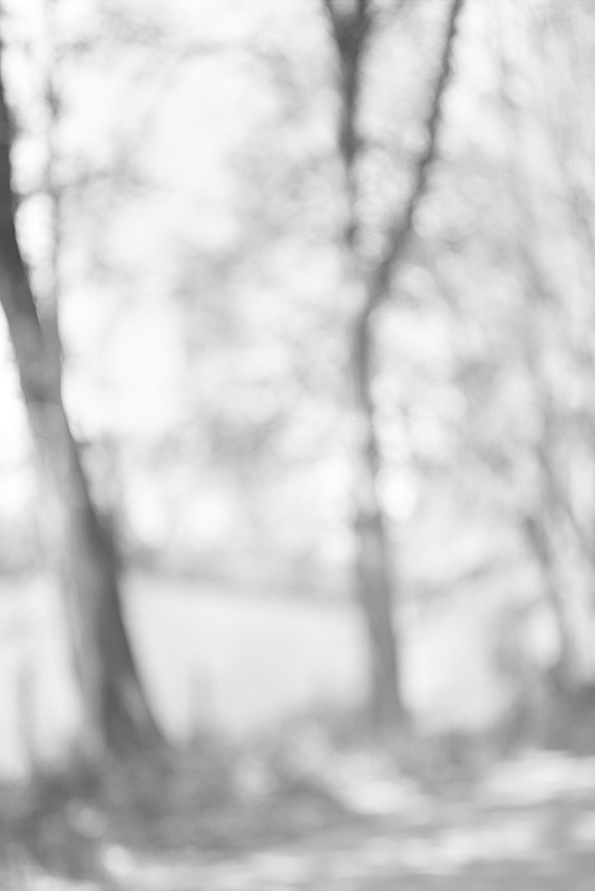 Bill Jacobson - Song of Myself #302