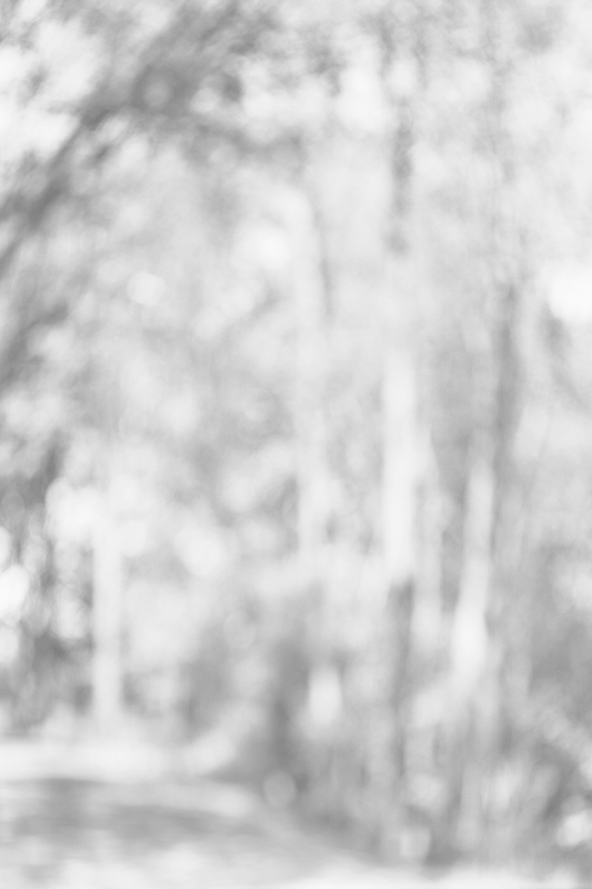 Bill Jacobson - Song of Myself #304