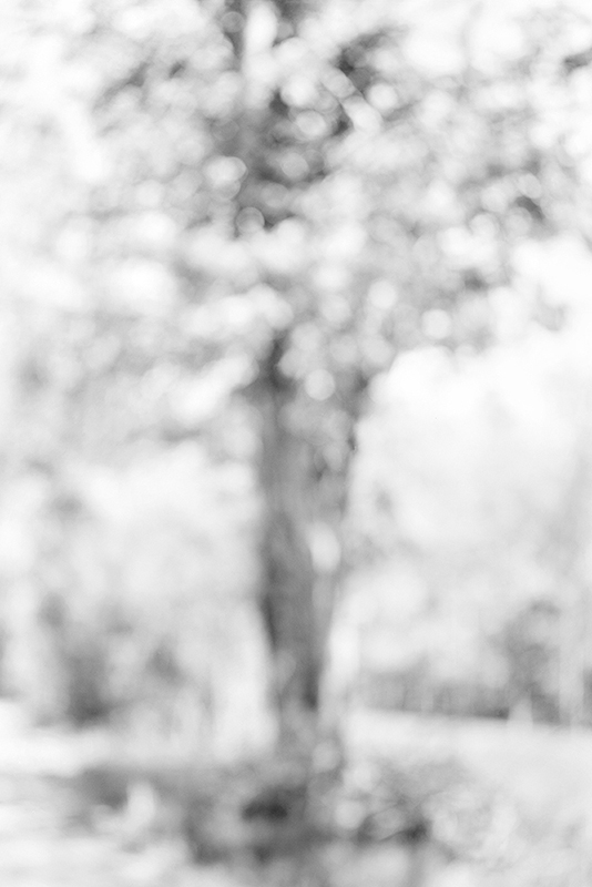 Bill Jacobson - Song of Myself #316