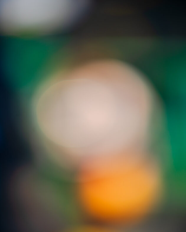 Bill Jacobson - Song of Myself #2017