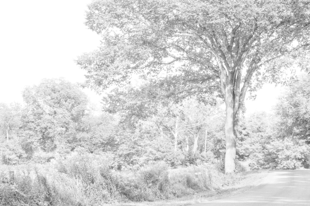 Bill Jacobson - Shufelt Road #545