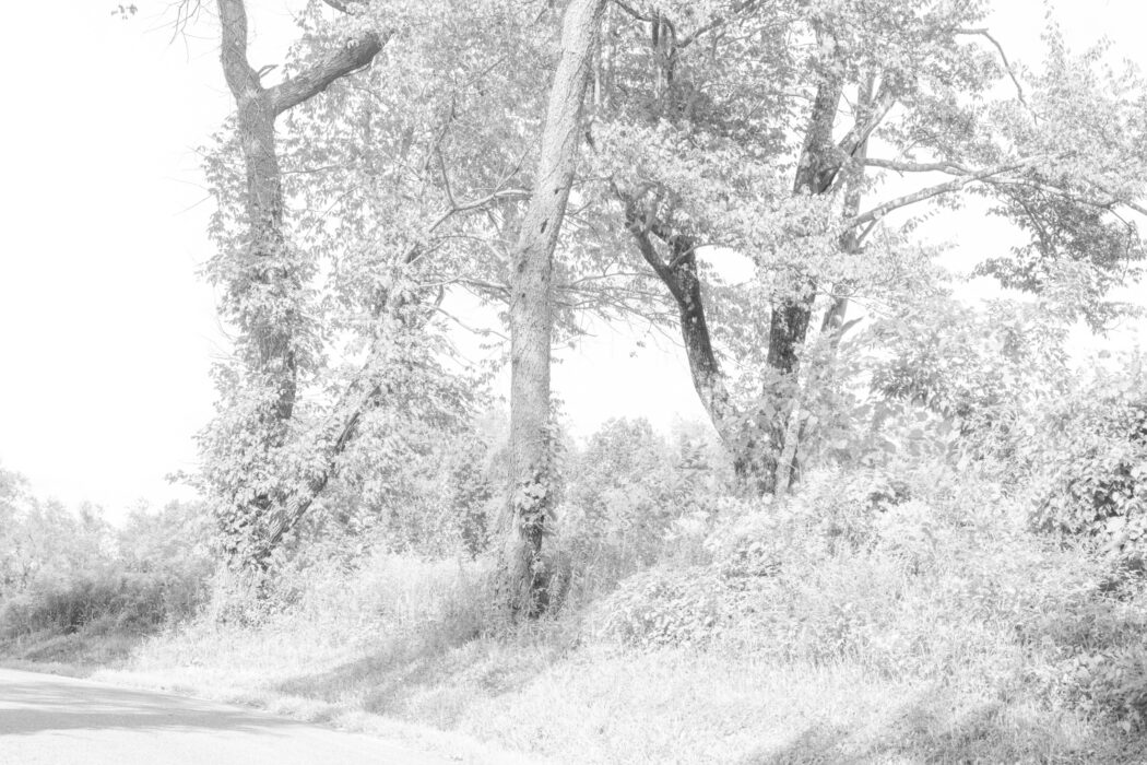 Bill Jacobson - Shufelt Road #594