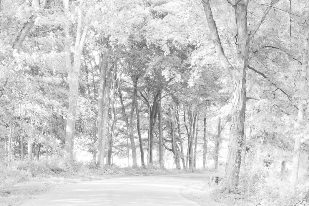Bill Jacobson - Shufelt Road #633