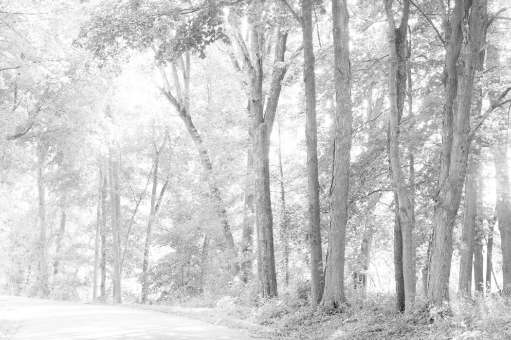 Bill Jacobson - Shufelt Road #1009