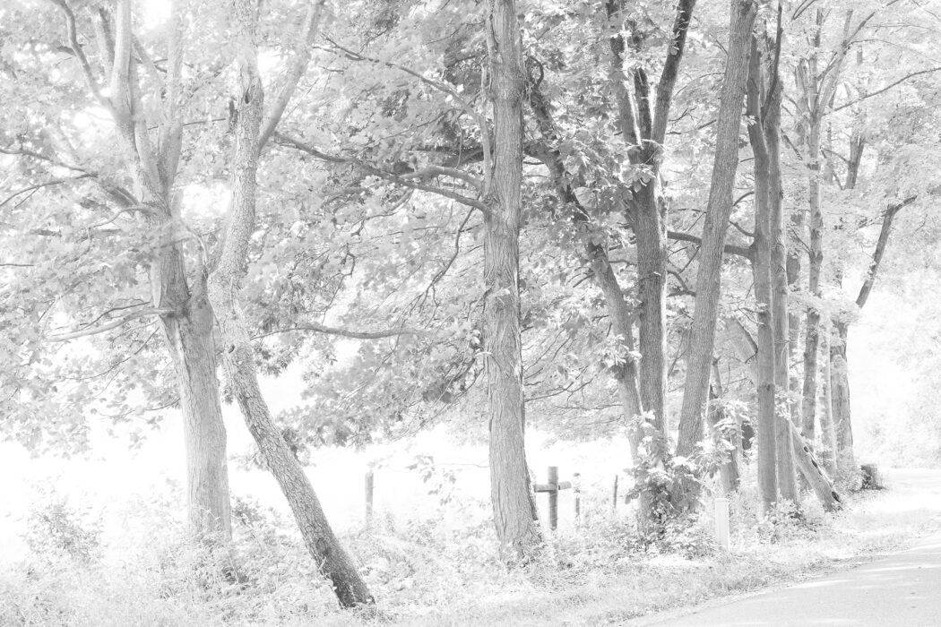 Bill Jacobson - Shufelt Road #1013