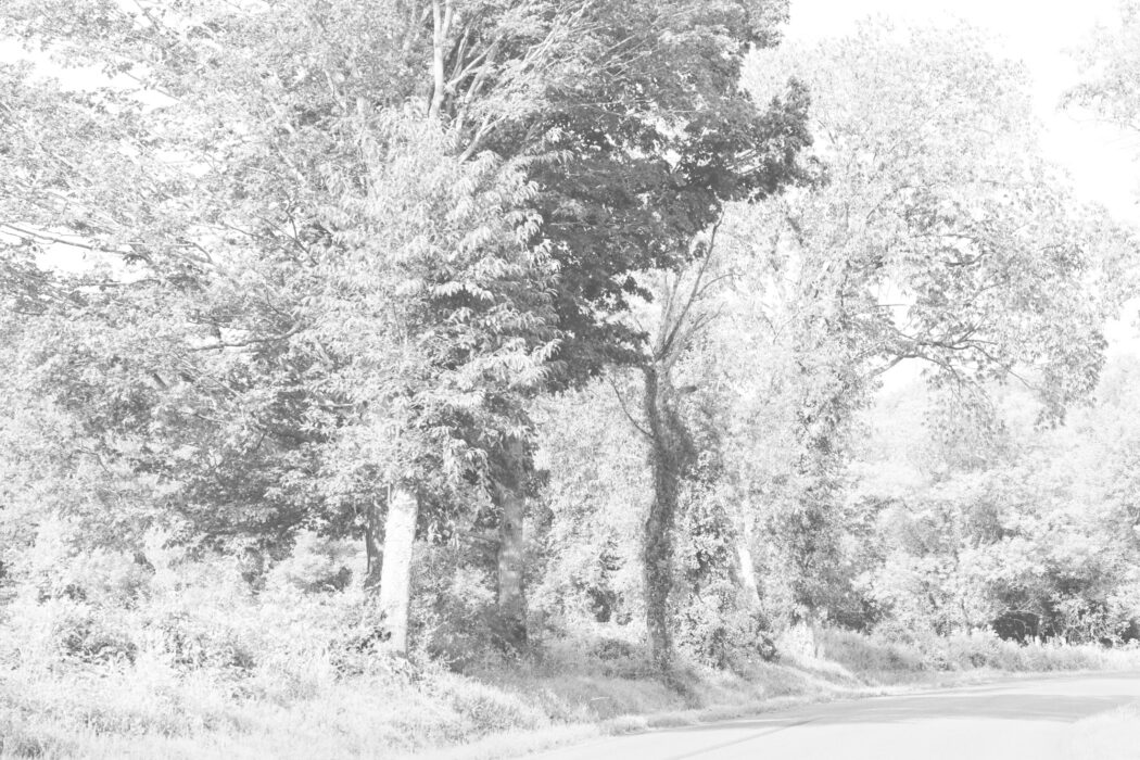 Bill Jacobson - Shufelt Road #1083