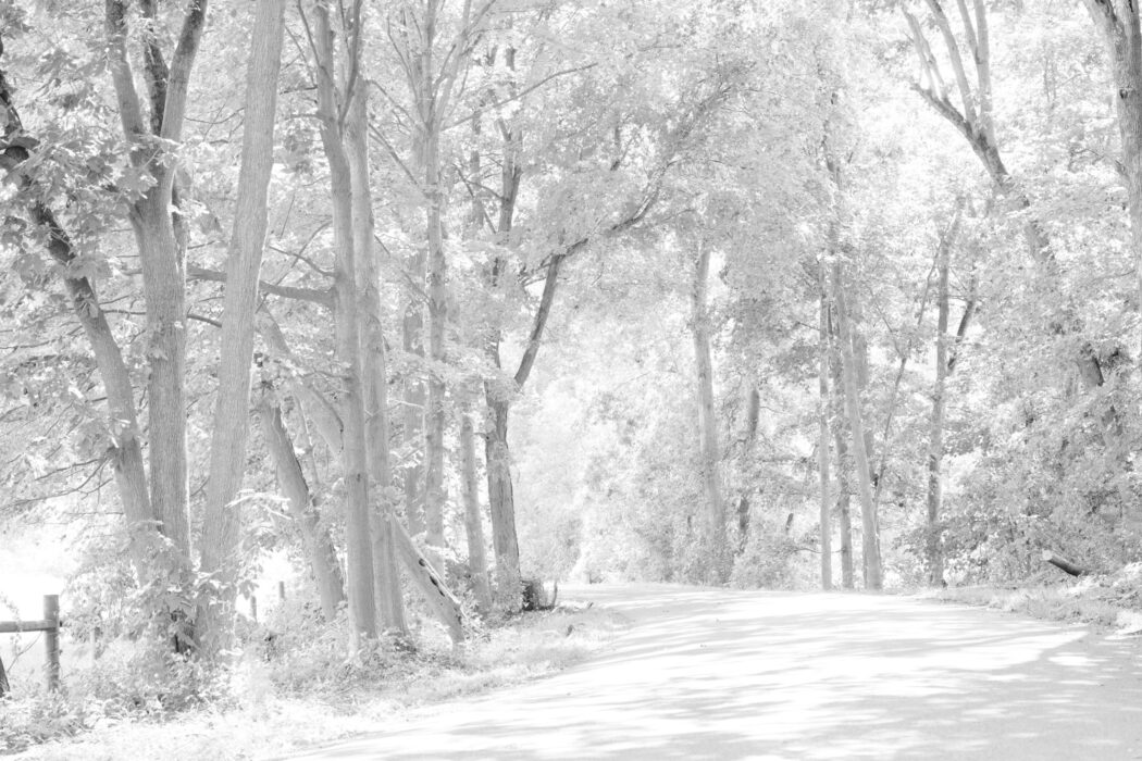 Bill Jacobson - Shufelt Road #1697