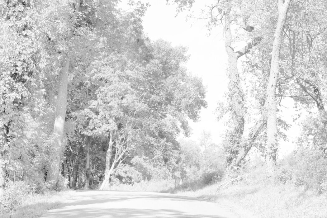 Bill Jacobson - Shufelt Road #1729